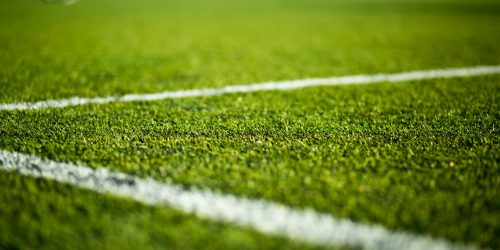 Artificial Grass, Turf, Free Estimates, Turf Installer, Turf Company Artificial Grass, Turf, Free Estimates, Turf Installer, Turf Company