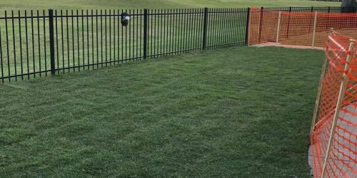 Sod Installation, Sod Installer, New Sod, Sod Company, Sod Contractor Sod Installation, Sod Installer, New Sod, Sod Company, Sod Contractor