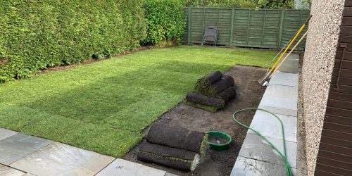Sod Installation, Sod Installer, New Sod, Sod Company, Sod Contractor Sod Installation, Sod Installer, New Sod, Sod Company, Sod Contractor
