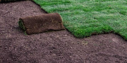 Sod Installation, Sod Installer, New Sod, Sod Company, Sod Contractor Sod Installation, Sod Installer, New Sod, Sod Company, Sod Contractor